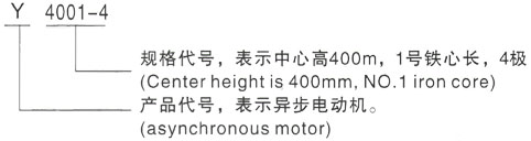 西安泰富西玛Y系列(H355-1000)高压YJTG-355M1-6A/160KW三相异步电机型号说明